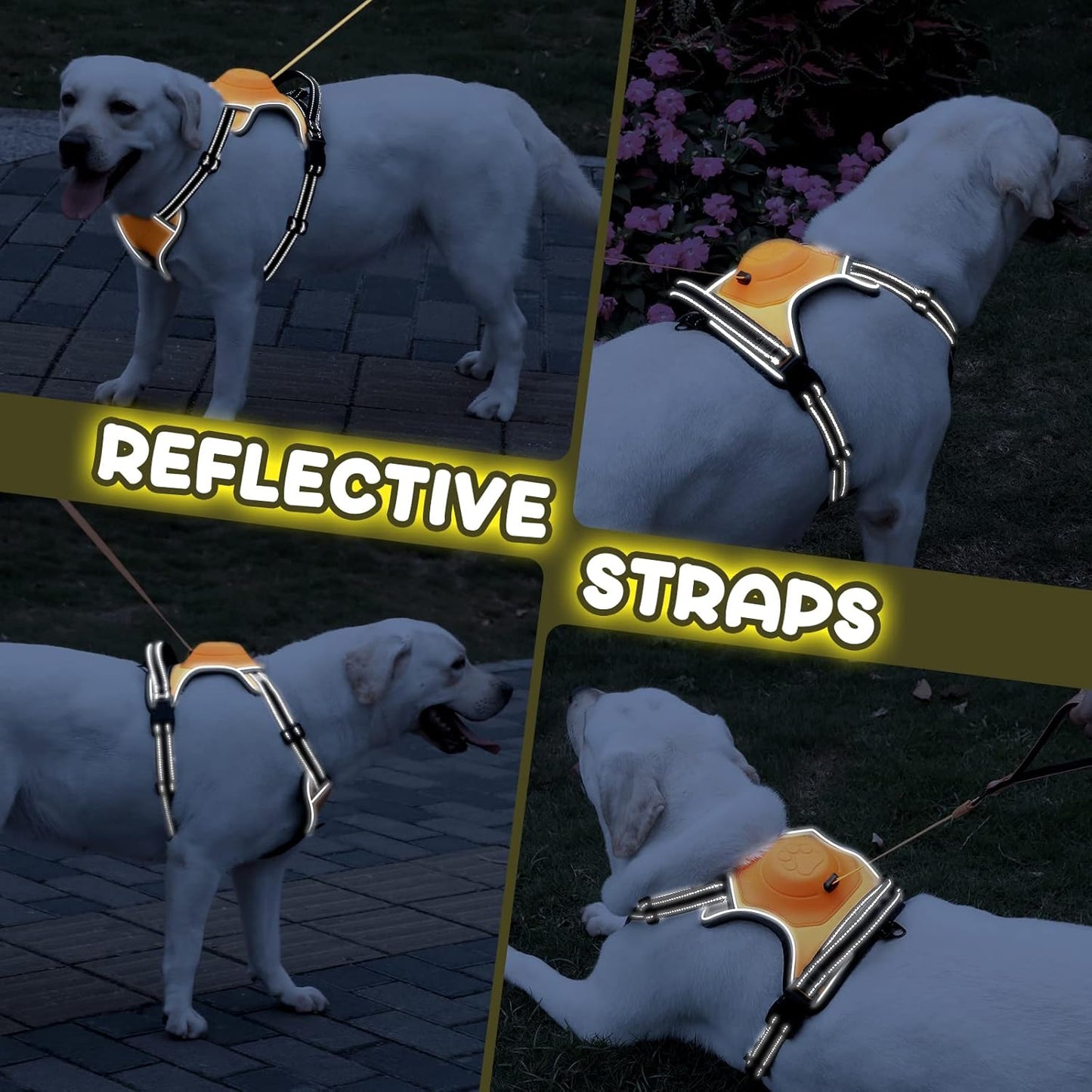 Retractable No-Pull Dog Harness