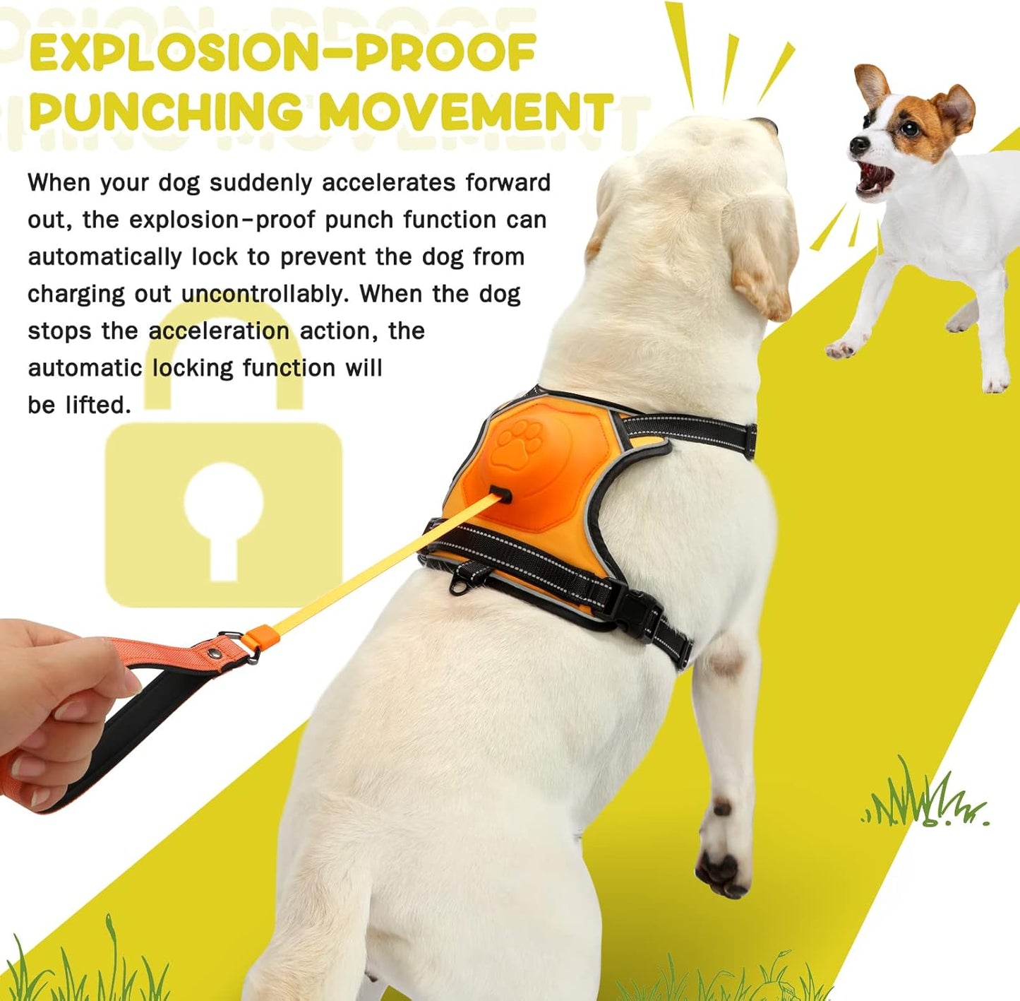 Retractable No-Pull Dog Harness