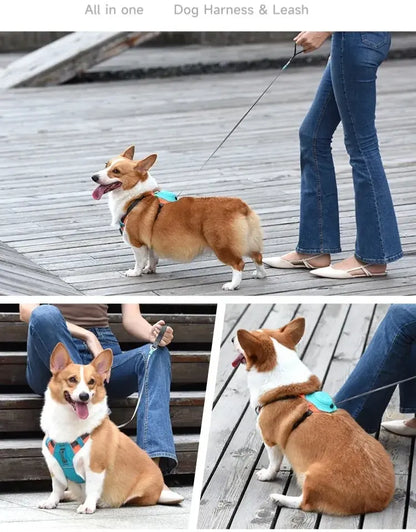 Retractable No-Pull Dog Harness